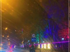 -枫花园汽车电影院(朝阳公园店)