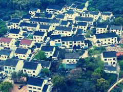 -树山生态村