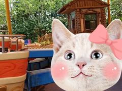 -郑州方特梦幻王国