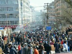 -哈尔滨道外花鸟鱼市场