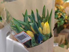 -山姆会员商店(杨桥西路店)