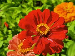 -杜氏旅游度假区