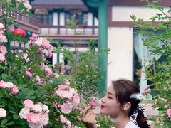 -桃花岛公园