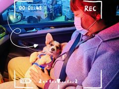 -喜识·冰糖葫芦·炒酸奶(长安万达店)