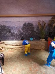 -造物庄园 萌宠纪(苏州湾歌林公园店)