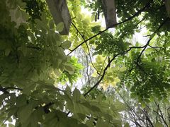 -城市运动公园(未央区)