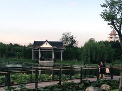 -映月湖公园