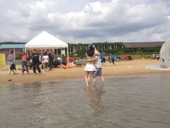 -碧海金沙
