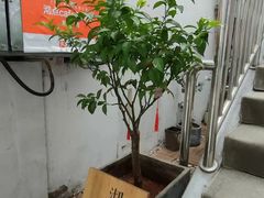 -沏点Trattoria意大利餐厅(新街口店)