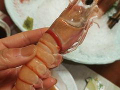 鳌虾-小菊日本料理