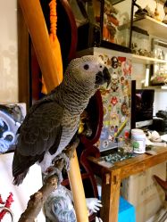 -周忆刺青原创设计定制