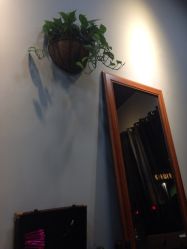 iphone_upload_pic-discovery 发现 hair salon