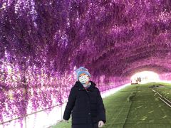 -绿野森林乐园冰雪季