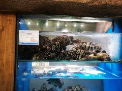 水产区-郑庄脂渣海鲜楼(九水路店)