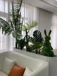 -白月光皮肤管理·德国LDM