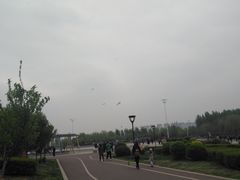 -丁香湖公园