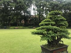 -申粤轩酒楼·三十年粤菜经典(丁香花园店)