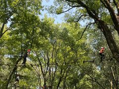 -WeLope紫金山探险公园