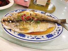 清蒸白丝鱼-状元楼(金溪路店)