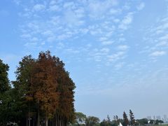 -无锡蠡湖国家湿地公园-蠡园