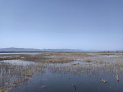 -野鸭湖国家湿地公园