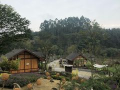 -黄龙溪欢乐田园