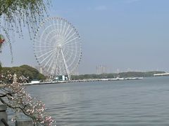 -无锡蠡湖国家湿地公园-蠡园