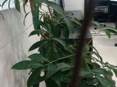 -中国工商银行(上海自贸试验区分行营业厅)