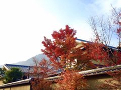 -常寂光寺