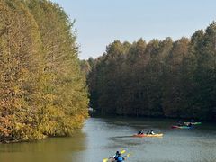 -上海海湾国家森林公园