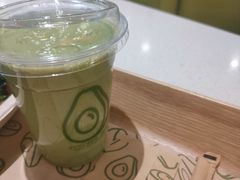 -油梨树 AVOCADO TREE(亮马桥店)