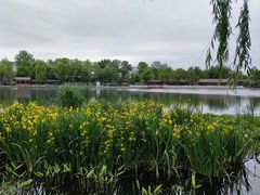 -郭守敬纪念馆