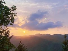 -田心森林公园