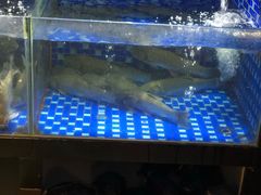 水产区-农汤老店(顺联公园里店)