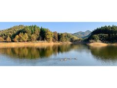 -千岛湖龙川湾