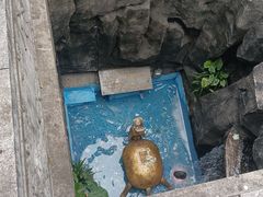 -汴河街