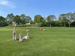 -华盛园卷子王农家菜水库鱼