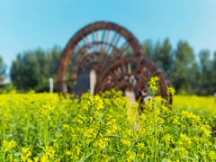 -长春公园(普阳街道)