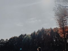 -梁鸿国家湿地公园