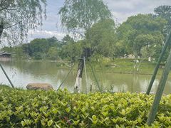 -江心屿景区