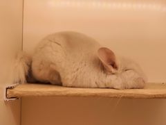 -龙猫仔乐园(惠福东路店)