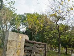 -飞来湖湿地公园