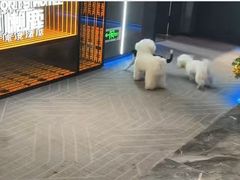 -懒鹿智能电竞酒店(蜀汉路店)