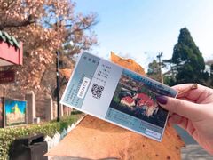 -青岛德国总督楼旧址博物馆