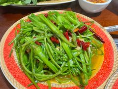 -菌之家·专业纯野生菌火锅·特色炒菌