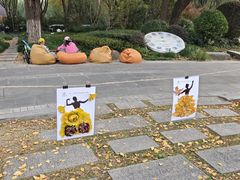 -昆山城市生态森林公园