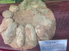 -中国第四纪冰川遗迹陈列馆