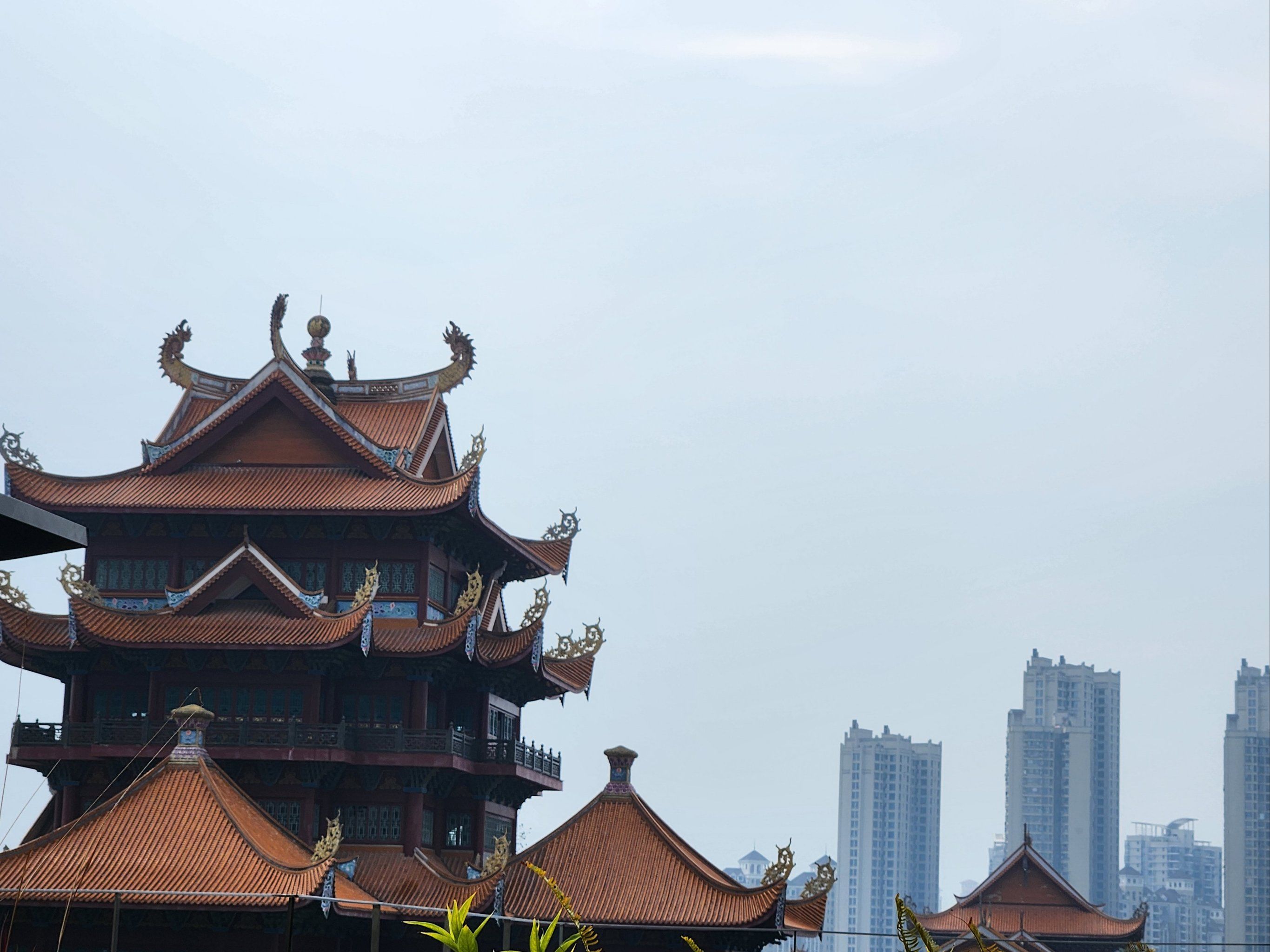 环境很好,菜品丰富,味道不错👍