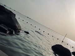-滆湖低碳生态公园