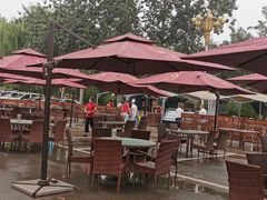 -大东方海鲜酒楼(小武基桥店)